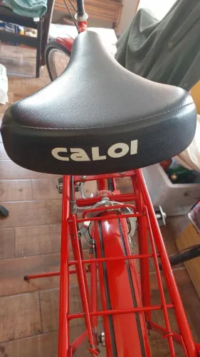 Bicicleta Caloi Raridade