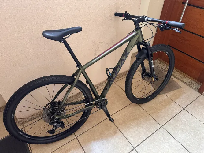 Bike Audax ADX 300
