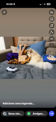 Vendo lulu da pomerania  creme com pedigree 