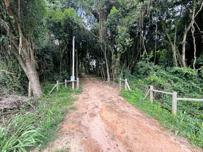 Chácara Catanduva Carambeí