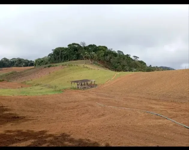 Chácara Um paraíso na terra