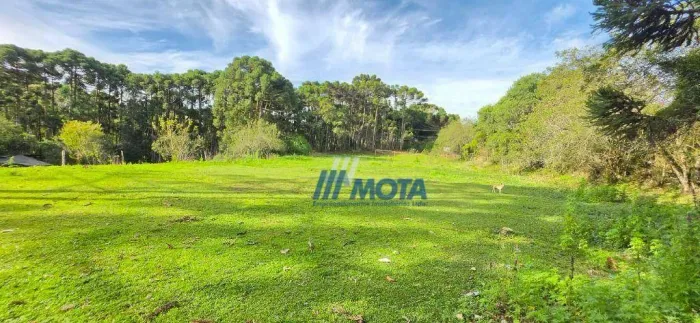 Área a venda em Colombo p/ Moradia, Lazer, Turismo Rural e Potencial para Empreendimentos
