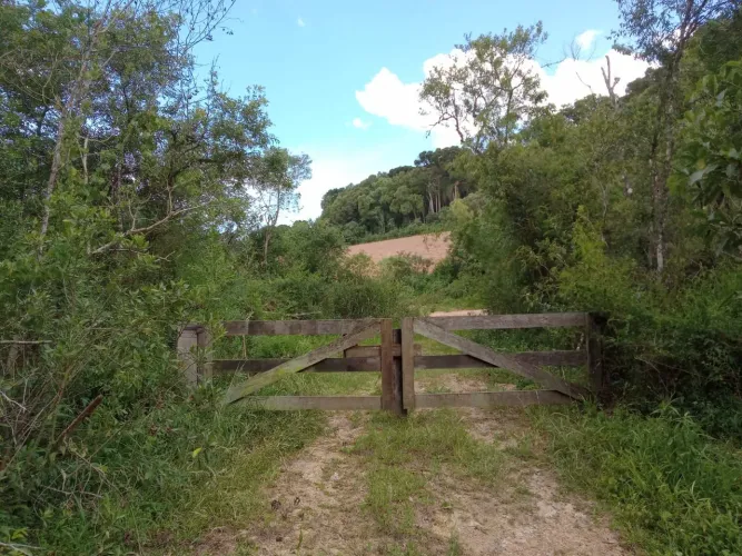 Terreno Rural em Antônio Olinto