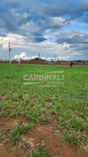 Terreno Condomínio em São Carlos