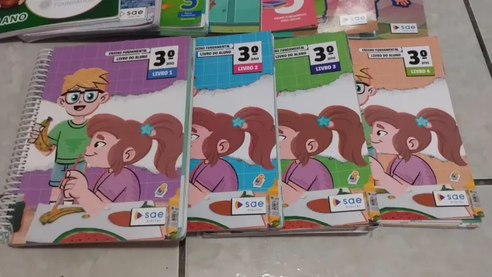 Livros SAE 3 ano fundamental 1