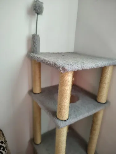 Torre para gatos semi novo