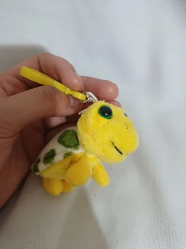 Tartaruga cansada