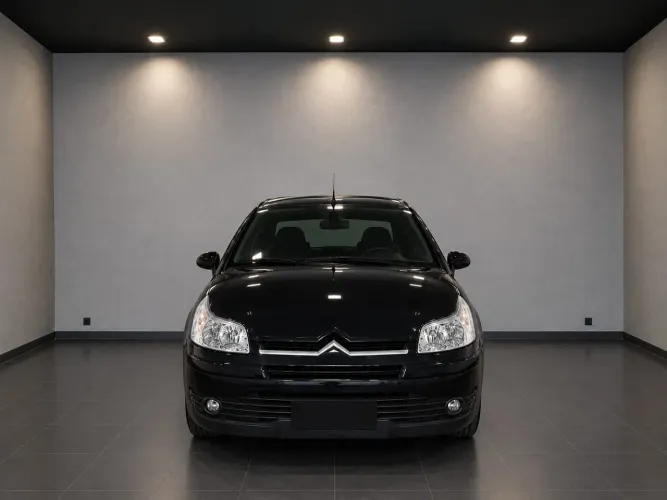 Citroen C4 Pallas GLX 2.0/2.0 Flex 16V Mec. 2010