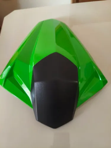 Monoposto Kawasaki Ninja 300 Novo