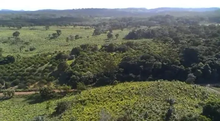 Terreno 44 de frente por 1.000 de fundo