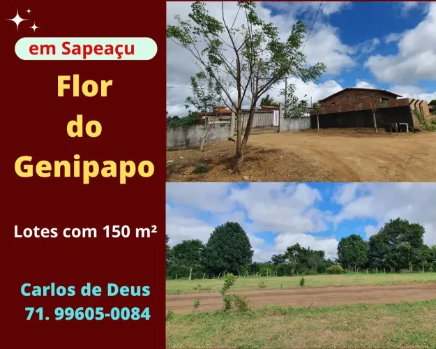 Flor do Genipapo, Lotes com 150 m², em até 32 vezes, em Sapeaçu