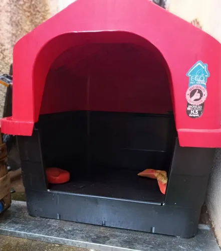 Casinha de cachorro n°5 Grande 