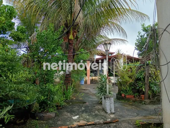 Chácara à venda em lote de 2.500 m²; em São José da Lapa