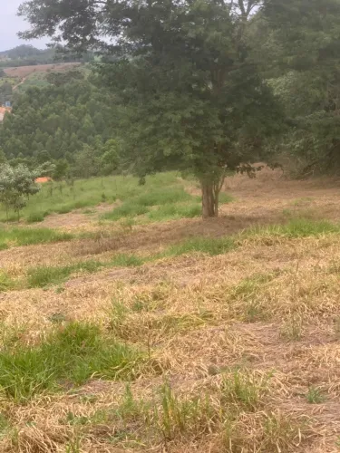Sitio com 2 hectares