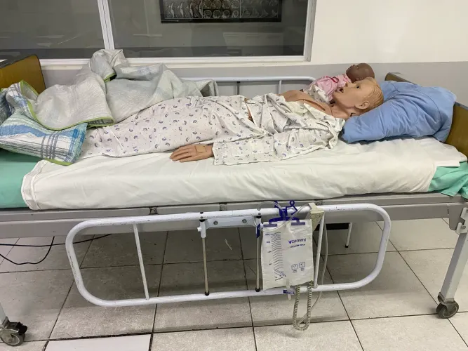 Cama hospitalar elétrica