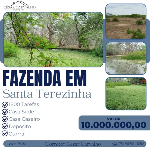 FAZENDA EM SANTA TEREZINHA - 1800 TAREFAS