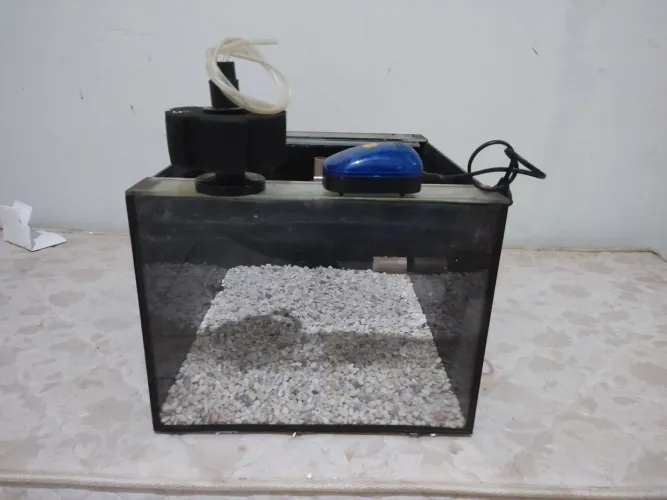 VENDO AQUÁRIO DE 60 LTS JÁ FURADO + COMPRESSOR, SUBSTRATO E FILTRO!
