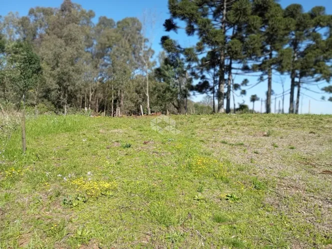 Vende-se encantadora propriedade onde cantam os pássaros, ao amanhecer. Sítio, a 20 minuto