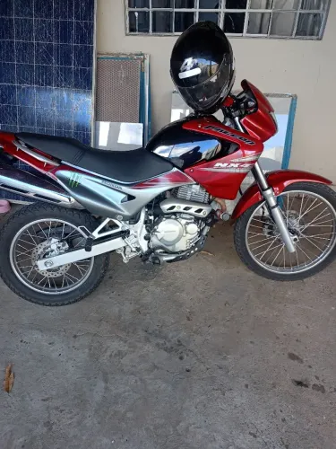 Falcon conservadissima