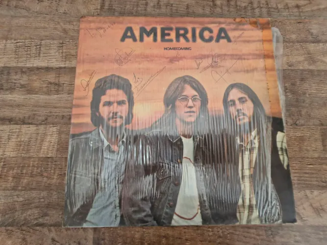 Disco de Vinil - America