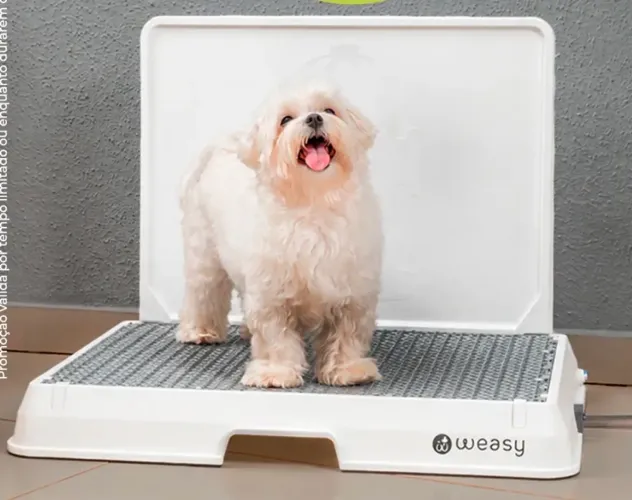 Banheiro Inteligente para Cachorro