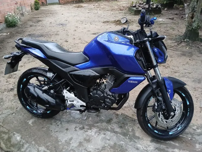 Fz15 2024