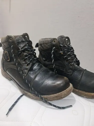 Bota
