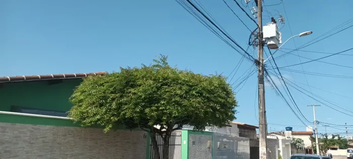 Ofereço meus serviços de jardim