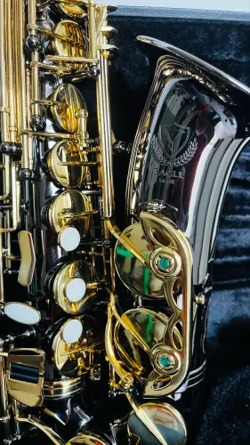 Sax Alto Grafite SA500