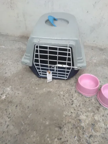 Casinha de transporte de cachorro ou gato