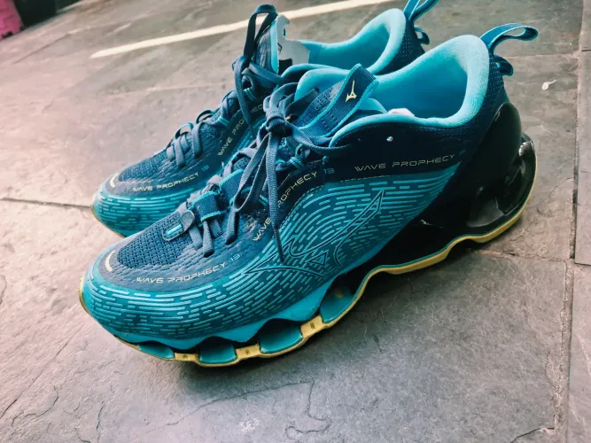 Mizuno prophecy 13 original