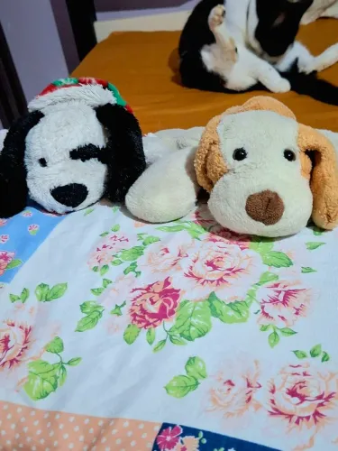 CACHORROS DE PELÚCIA 
