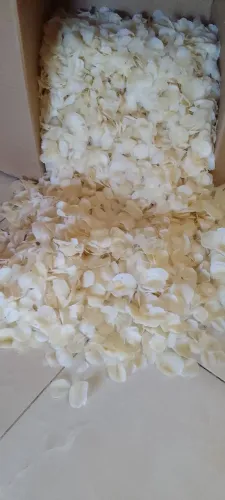 1 Kilo de Escamas Natural de Peixe Camurupim para artesanato