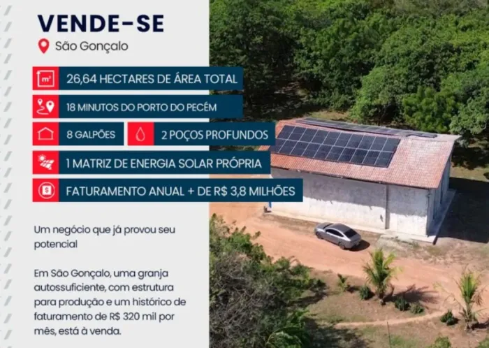 GRANJA DE AVICULTURA DE POSTURA | 26,64 HECTARES | PECÉM
