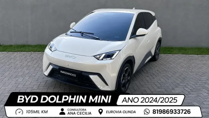 BYD Dolphin Mini (Elétrico) 2027