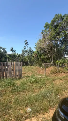 Lote Urbano 200m² no Bairro do Alemão - Novo Airão (Ao lado de Escola!)