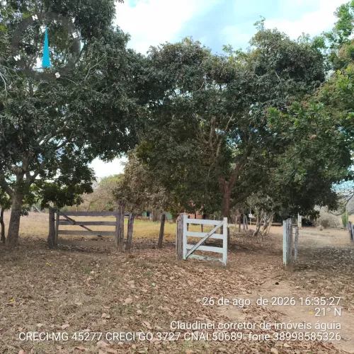 Sítio 54 hectares e meia