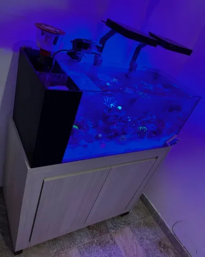 Aquário com Sump lateral