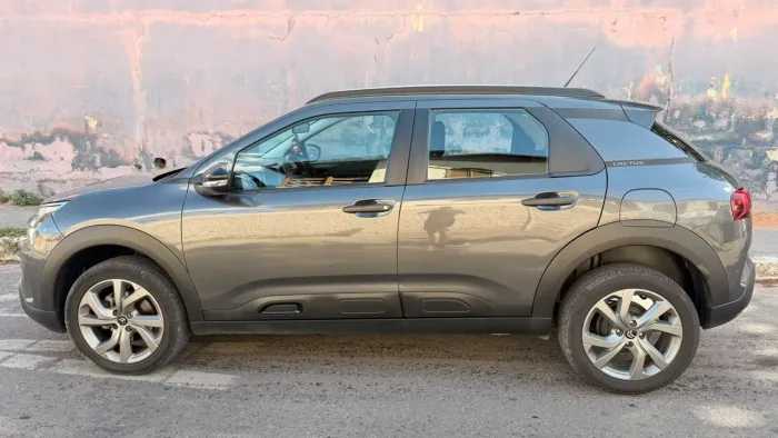Citroen C4 Cactus Feel 1.6 16V Flex Aut. 2022