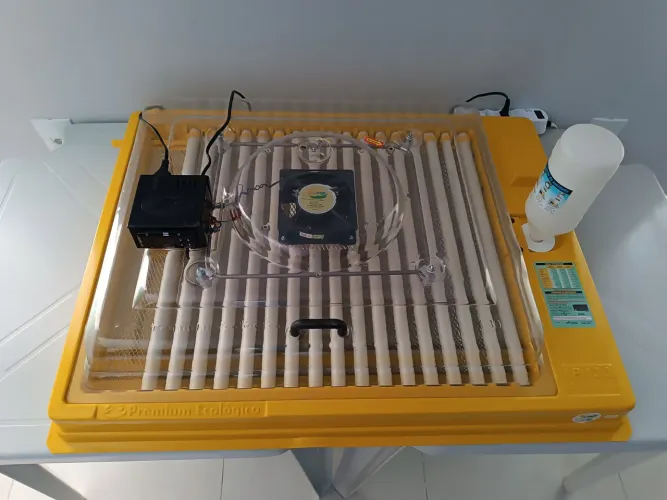 Chocadeira ip 130 Premium ecológica