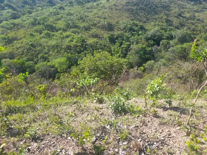 Fazenda DF Goiás Planaltina Reserva
