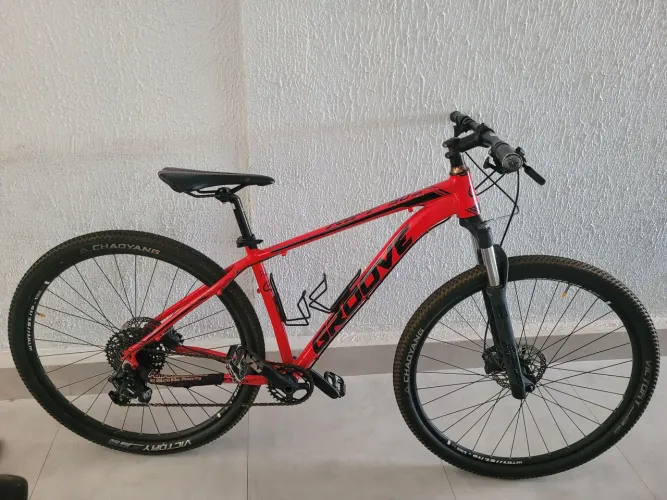 Bicicleta Aro 29 Tamanho 17
