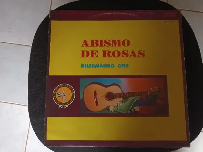 2 LP Vinil Grandes Sucessos de Waldir Azevedo e Abismo de Rosas Dilermando Reis