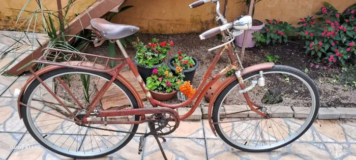 Bicicleta Antiga Odomo Goricke 1964 Feminina