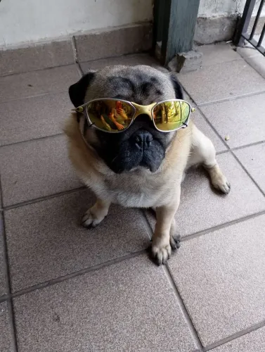 Óculos Oakley 