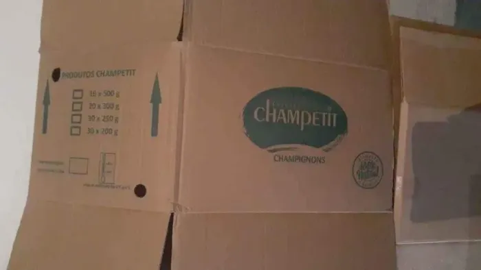 Caixa de papelão para mudança