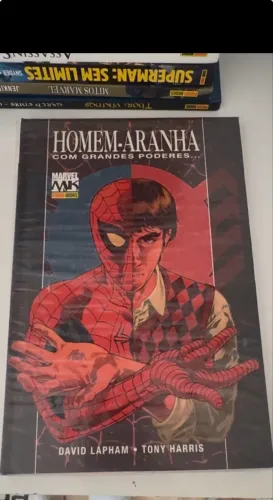 HOMEM-ARANHA - COM GRANDES PODERES 2009