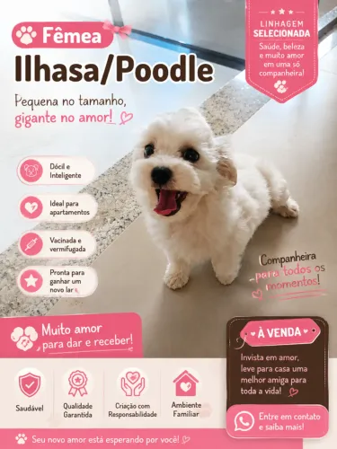 Fêmea linda disponível