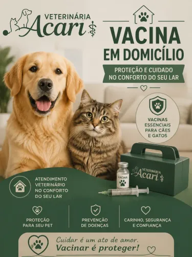 Vacina em Domicílio para Cães e Gatos em Acari RJ