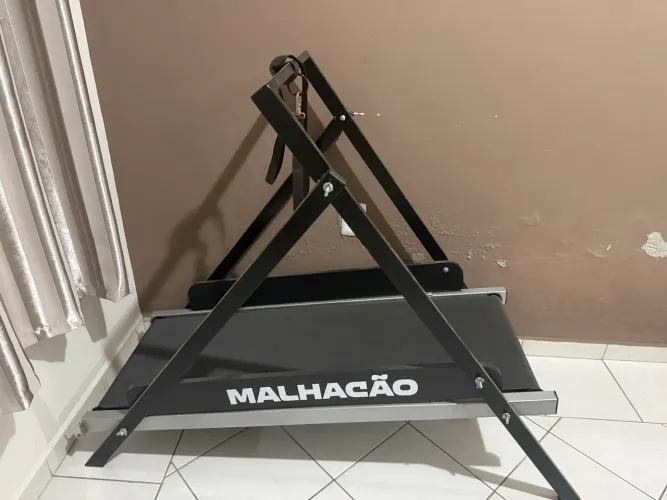 Esteira para cachorro